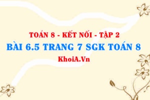 Bài 6.5 trang 7 Toán 8 Kết nối tri thức Tập 2